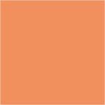 Média tinta - mandarin - 20 ml